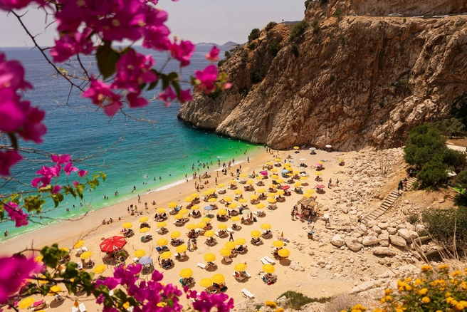 Источник: kadir AKKAYA, Shutterstock