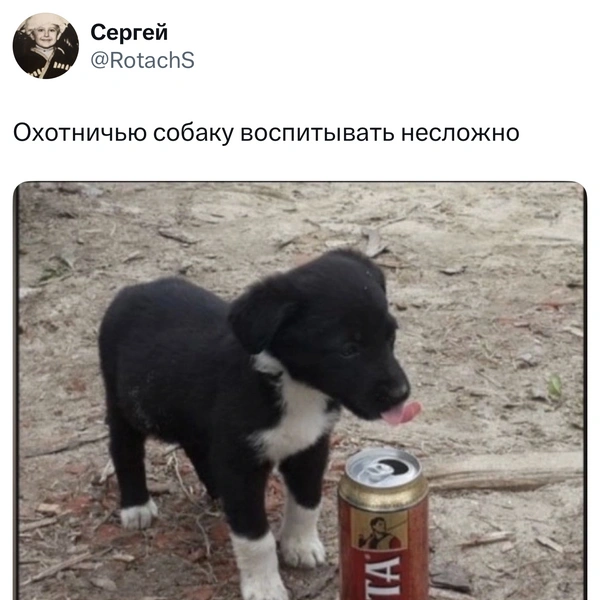 Источник: X (Twitter)