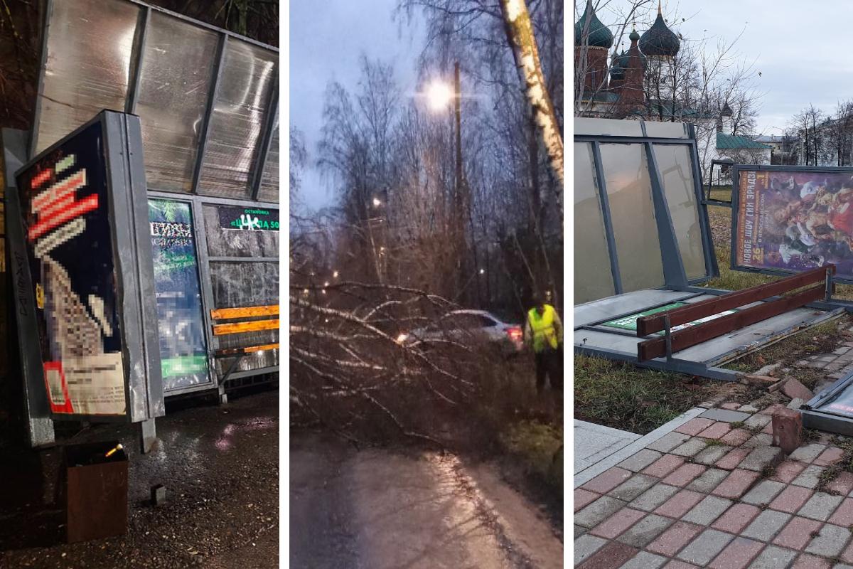 Поваленные деревья, остановки, светофоры: показываем последствия урагана в Ярославской области