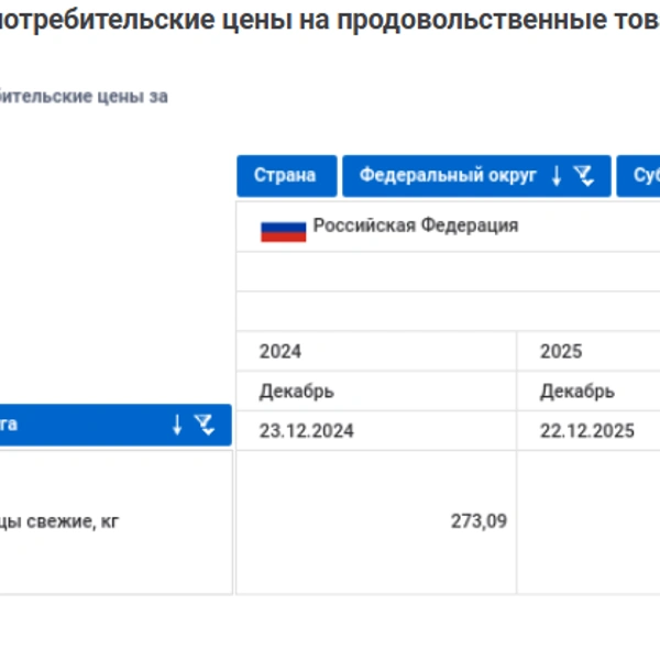 Источник: bi.gks.ru
