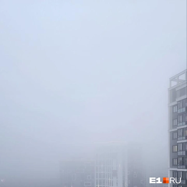 Источник: Читатель E1.RU