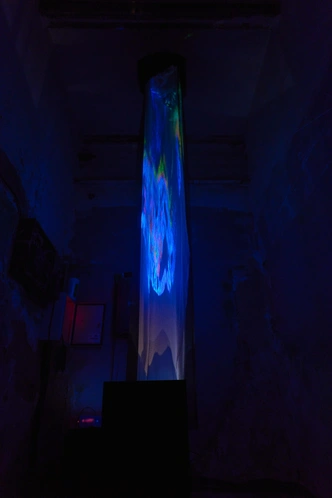 Laznes Binch (концепция, инсталляция), Ксения Ферзь, Absurd Soundart (звук). «Мнемофантазия» | Источник: Олег Куракин