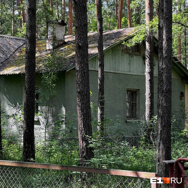 Источник: Максим Бутусов / E1.RU