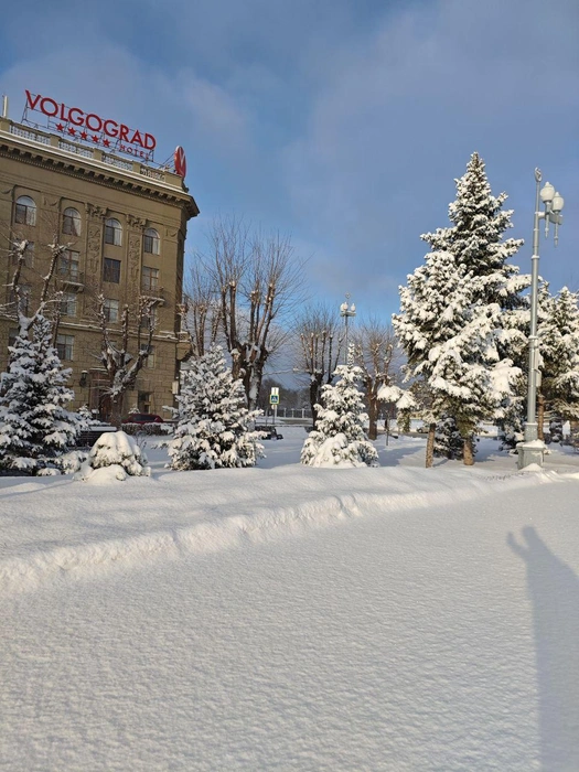 Снежная целина в самом центре города | Источник: читатели V1.RU
