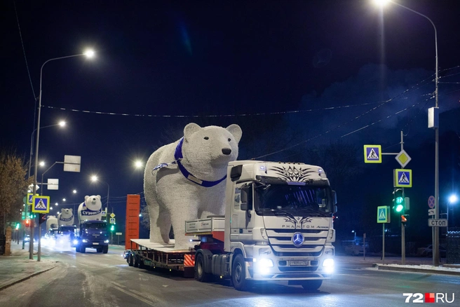 Традиция провозить трех белоснежных медведей по городу появилась несколько лет назад | Источник: Ирина Шарова / 72.RU
