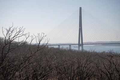 Суд отменил аренду земли под мебельную фабрику на Змеинке