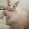 userpic__Mr Haha