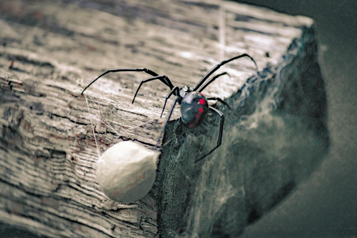 Источник: Tom Sid via Unsplash