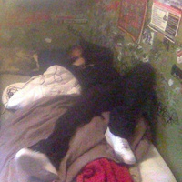 Аватарка hmm