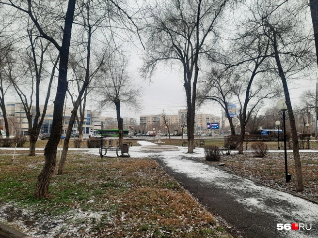 Источник: Анастасия Баринова / 56.RU