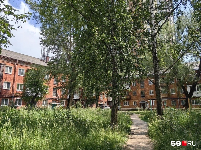 Наша героиня живет в трехэтажке на Звонарева | Источник: Василина Любимова / 59.RU