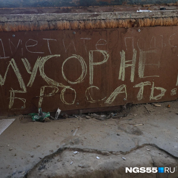 Мусор все-таки бросают | Источник: Евгений Софийчук / NGS55.RU