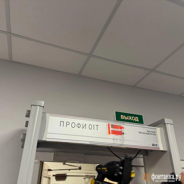 Источник: Ирина Лысак / «Фонтанка.ру»