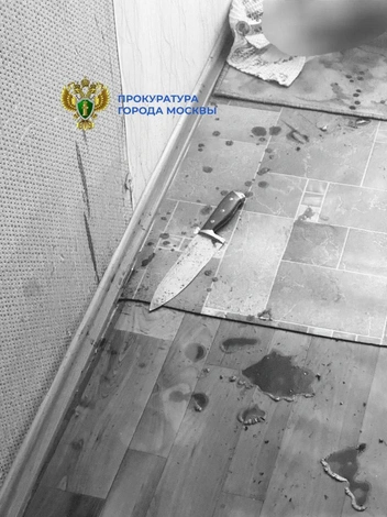 Предварительное орудие убийства | Источник: Прокуратура Москвы / T.me
