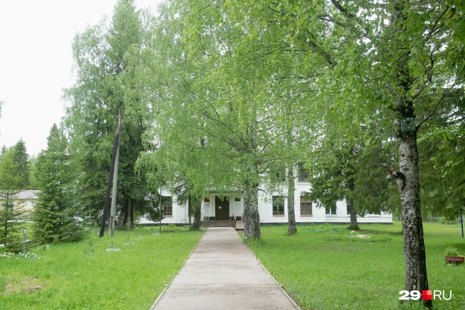 Источник: Иван Митюшёв / 29.RU