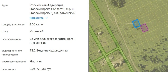 В публичной кадастровой карте написано, что вид разрешенного использования участка Владимира&nbsp;— ведение садоводства. Это значит, что на нем можно строить дом | Источник: nspd.gov.ru