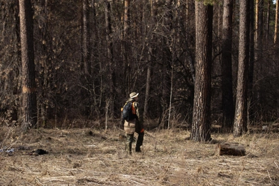 Поиски 30-летней женщины в Тульской области идут третий месяц