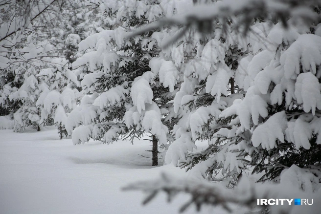 «Прилег и так и уснул». Тело одинокого пенсионера нашли на снегу в Якутии | Источник: Ксения Филимонова / IRCITY.RU