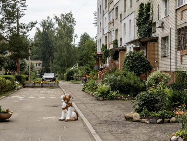 Зелень окружает подъезды и заднюю часть дома | Источник: Александр Куренной / 76.RU