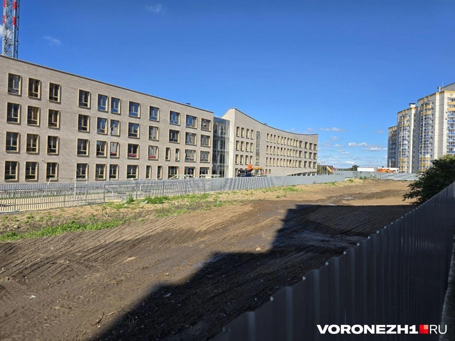 Источник: читательница Voronezh1.ru