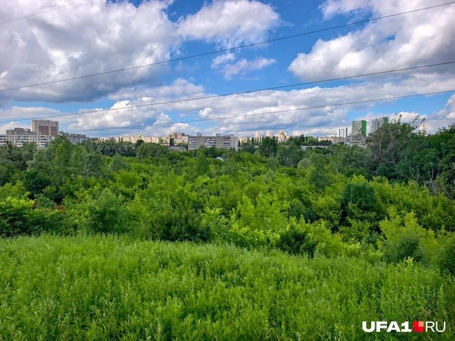 Вид с опушки Курочкиной горы | Источник: Булат Салихов / UFA1.RU
