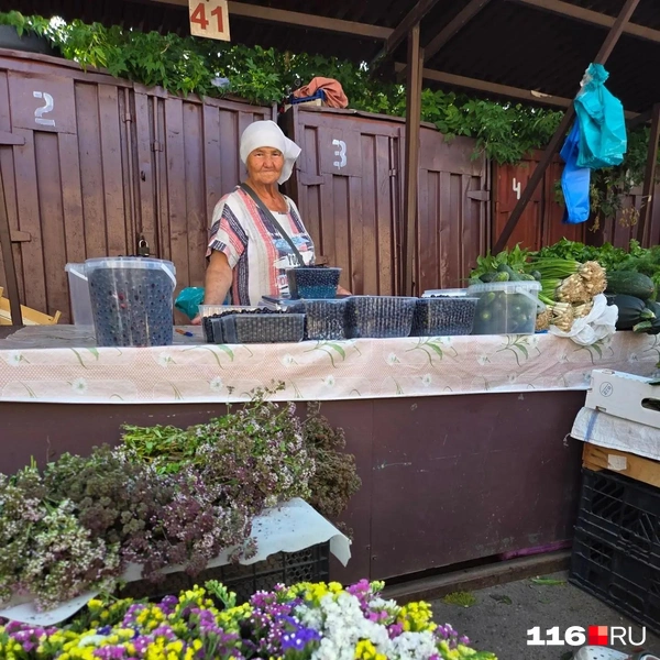 Источник: Дарья Елисейчева / 116.RU