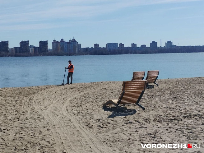 Источник: Дмитрий Волгин / Voronezh1.ru