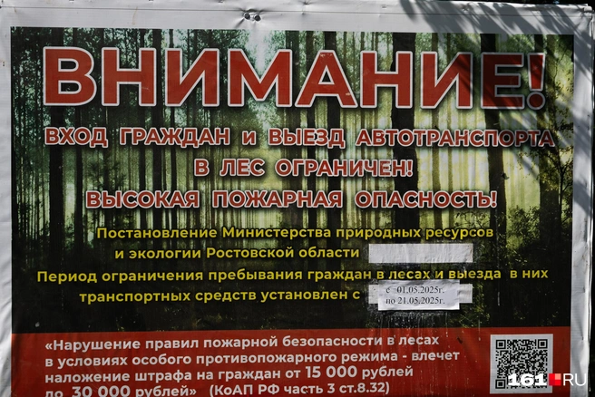 Источник: Евгений Вдовин / 161.RU