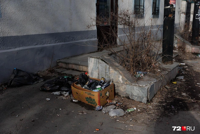 Выше мы говорили, что кто-то не донес мусорный пакет до бака, а здесь целая коробка с банками. «Незаметно» стоит | Источник: Ирина Шарова / 72.RU