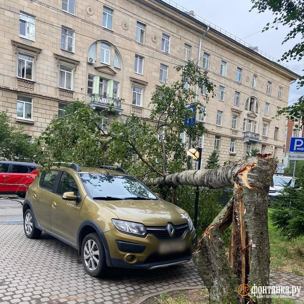 Источник: читатель «Фонтанки»