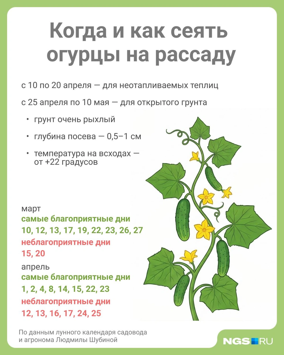 Источник: Юрий Орлов / Городские медиа