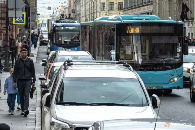 Источник: Михаил Огнев / FONTANKA.RU