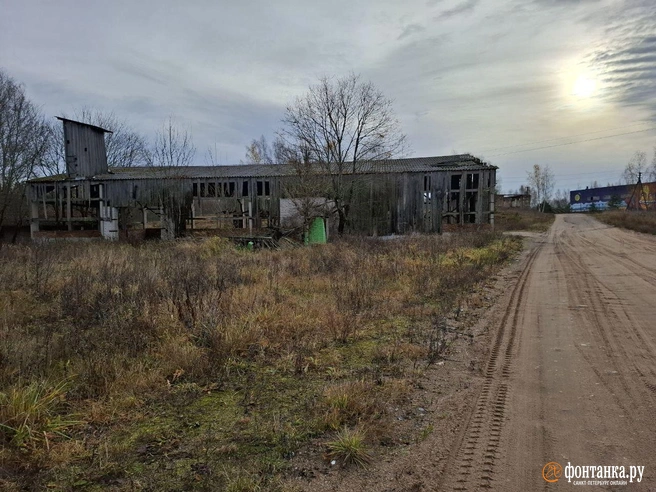 Источник: Ирина Багликова / «Фонтанка.ру»