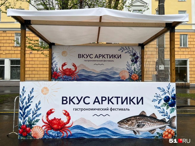 Всё пройдет тут | Источник: Александра Балаба / 51.RU