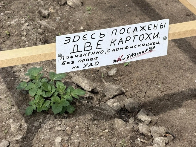 Источник: Сергей Михайличенко / FONTANKA.RU