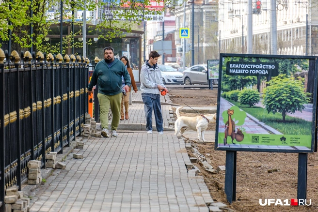 Собачка хочет покопать песок | Источник: Булат Салихов / UFA1.RU