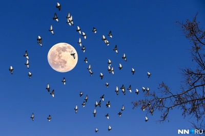 Travel for Sagittarians, disputes for Cancers: 2026 horoscope for all signs