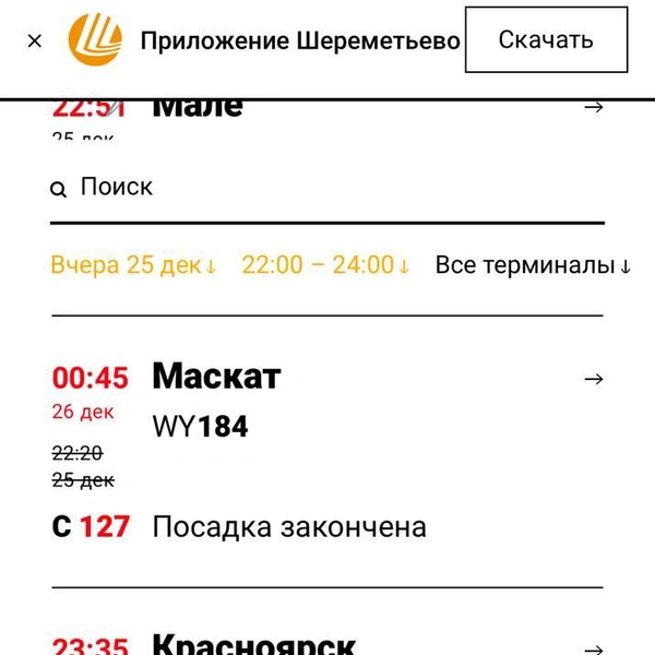 «Сильный ливневый снег». Непогода притормозила работу аэропортов Москвы. Самолеты в Петербург летят с опозданием | Источник: скриншот Шереметьево