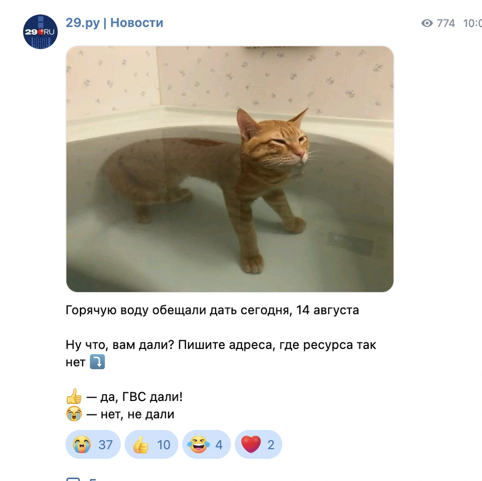 Источник: 29.ру | Новости / Vk.com