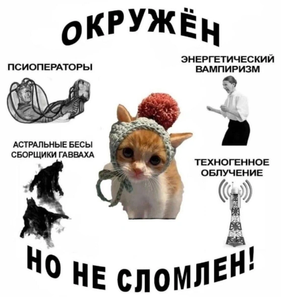 Источник: Соцсети
