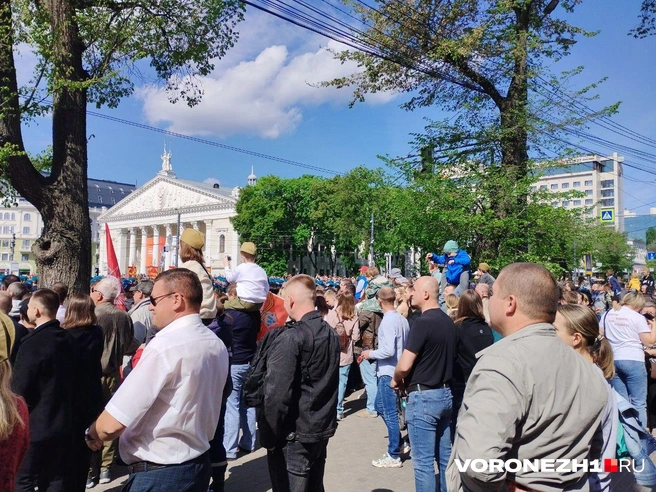 Источник: Дмитрий Волгин / Voronezh1.ru