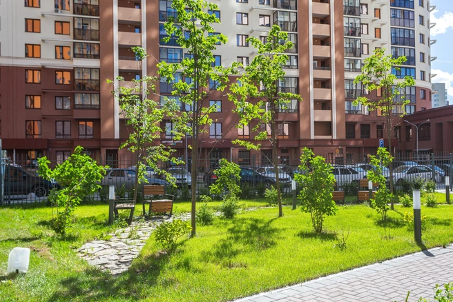 Во втором дворе озеленение уже почти готово | Источник: PRINZIP