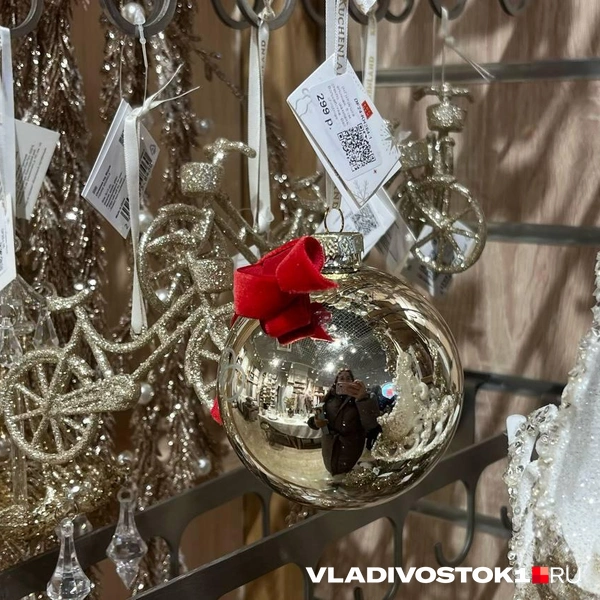 Источник: Елена Буйвол / VLADIVOSTOK1.RU