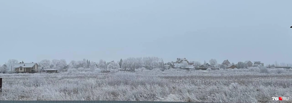 А за городом всё белым-бело: поля и деревья покрылись изморозью  | Источник: читатель 76.RU ANDREY PREKRASNY