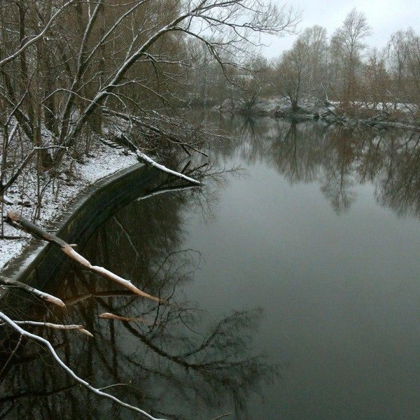 Источник: Павел Глазков / Каждой твари по паре