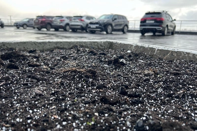 В Архангельске вновь выпал снег