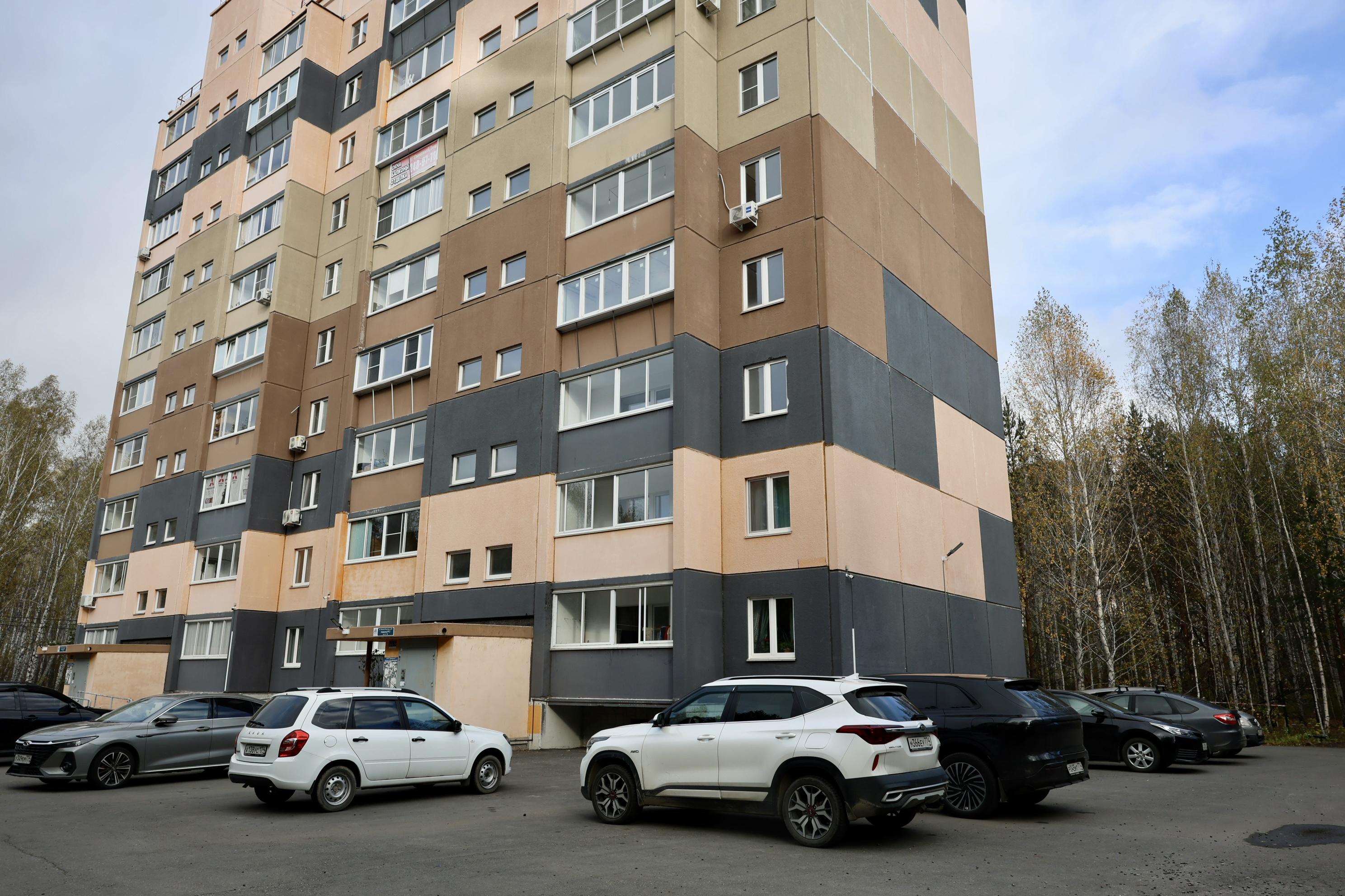Еще одна панелька? В лесу на Северо-Западе начали рубить деревья