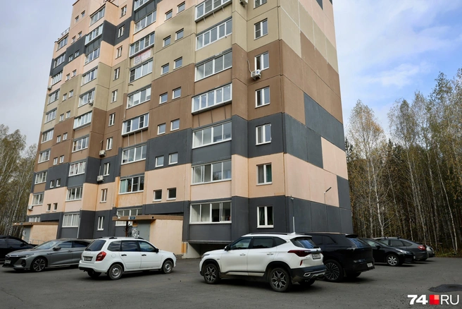 Видимо, недолго осталось скучать панельке в лесу | Источник: Михаил Шилкин