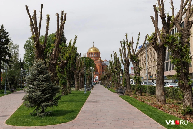 И храм с такого ракурса смотрится по-другому | Источник: Алексей Волхонский / V1.RU