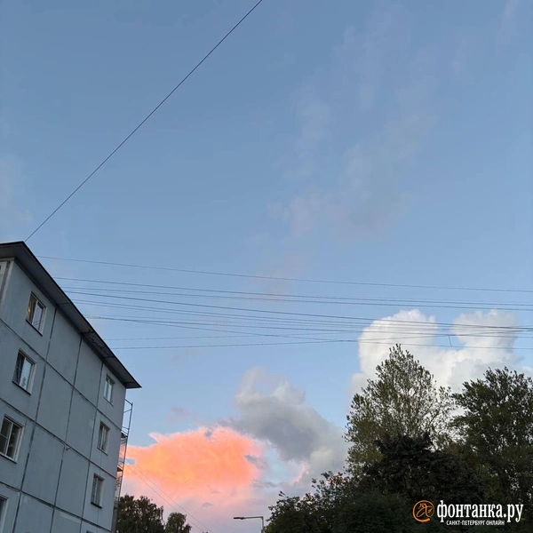 Источник: читатель «Фонтанки»
